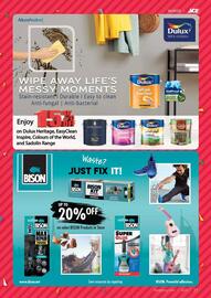 Ace catalogue Page 21