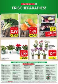 Eurospar Flugblatt Seite 20