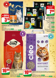 Dino gazetka tydzień 51 Strona 73