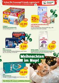 Fressnapf Flugblatt Seite 7