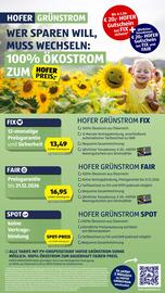 Hofer Flugblatt woche 51 Seite 29