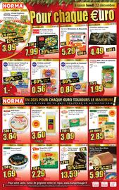 Catalogue Norma semaine 52 page 2