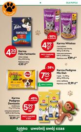 Żabka gazetka Strona 66