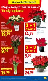 Lidl gazetka Strona 33