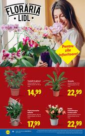 Catalog Lidl Pagină 28