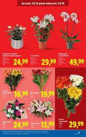 Catalog Lidl Pagină 29