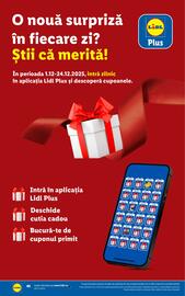 Catalog Lidl Pagină 40