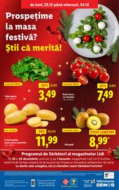 Catalog Lidl Pagină 42