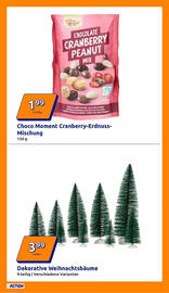 Action Prospekt woche 51 Seite 21