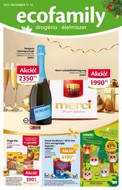 EcoFamily akciós újság Oldal 1