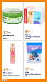 Action Flugblatt woche 51 Seite 23