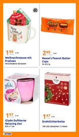 Action Flugblatt woche 51 Seite 25