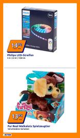 Action Flugblatt woche 51 Seite 8