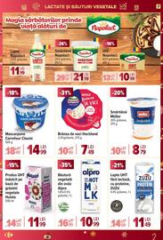 Catalog Carrefour Pagină 9