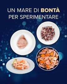 Volantino Sapore di Mare Pagina 4