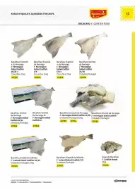 Folheto Recheio Página 41