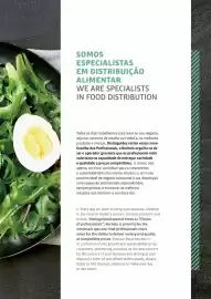 Folheto Recheio Página 7