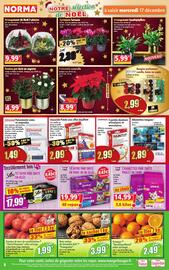 Norma folder week 51 Pagina 8