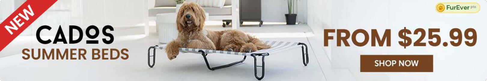 Budget Pet Products catalogue Page 1