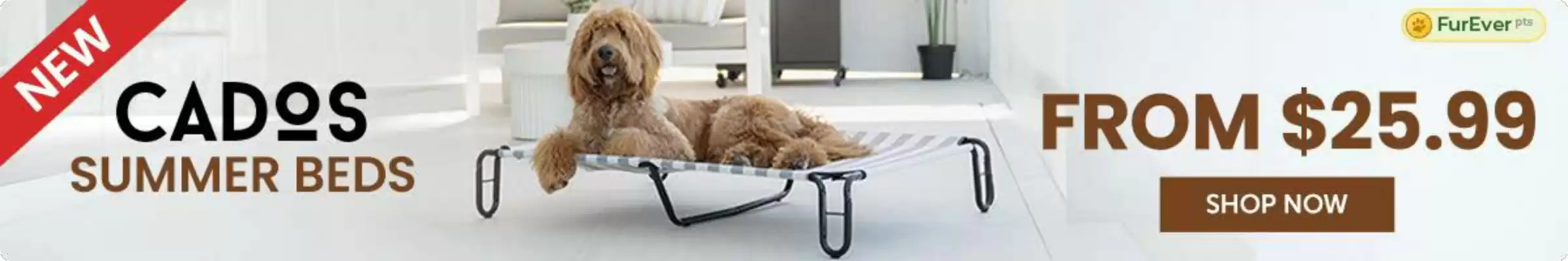 Budget Pet Products catalogue (valid until 4-01)