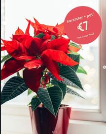 Eurotuin folder week 51 Pagina 1