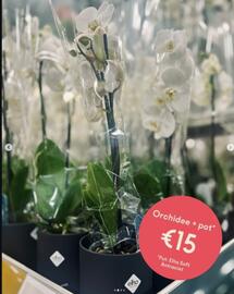 Eurotuin folder week 51 Pagina 2