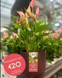 Eurotuin folder week 51 Pagina 3