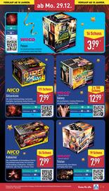 ALDI Nord Duitsland folder | Vuurwerk Pagina 5
