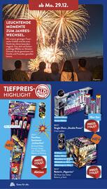 ALDI Süd Duitsland folder | Vuurwerk Pagina 2