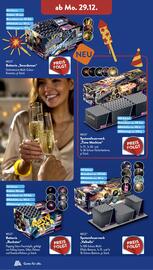 ALDI Süd Duitsland folder | Vuurwerk Pagina 6