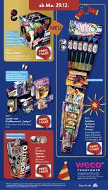 ALDI Süd Duitsland folder | Vuurwerk Pagina 7