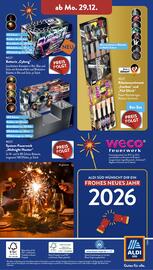 ALDI Süd Duitsland folder | Vuurwerk Pagina 8