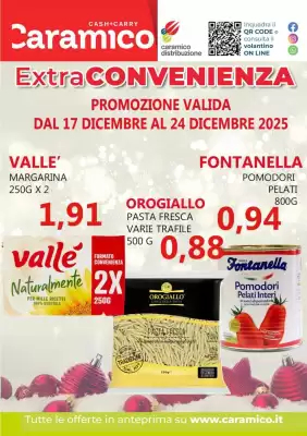 Volantino Caramico (valido fino al 24-12)