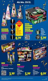 Lidl DE folder | Vuurwerk 2025 Pagina 11