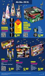 Lidl DE folder | Vuurwerk 2025 Pagina 11