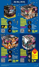 Lidl DE folder | Vuurwerk 2025 Pagina 13