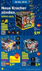 Lidl DE folder | Vuurwerk 2025 Pagina 2
