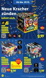 Lidl DE folder | Vuurwerk 2025 Pagina 2