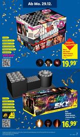 Lidl DE folder | Vuurwerk 2025 Pagina 9