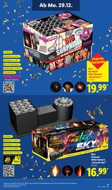 Lidl DE folder | Vuurwerk 2025 Pagina 9