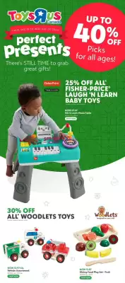 Toys R us flyer