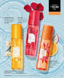 Catálogo Ésika Página 105