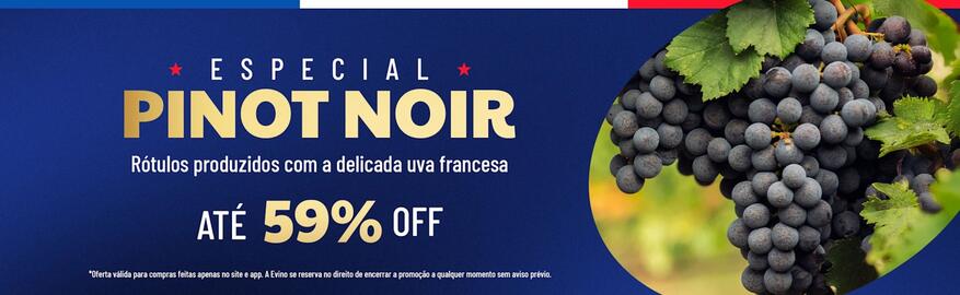 Catálogo Evino Página 6