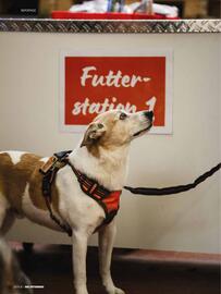 Das Futterhaus Prospekt Seite 10