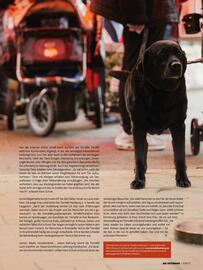 Das Futterhaus Prospekt Seite 13