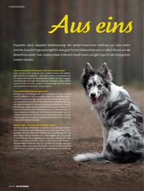 Das Futterhaus Prospekt Seite 18