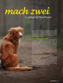 Das Futterhaus Prospekt Seite 19