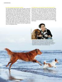 Das Futterhaus Prospekt Seite 20