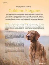 Das Futterhaus Prospekt Seite 25