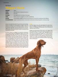 Das Futterhaus Prospekt Seite 26